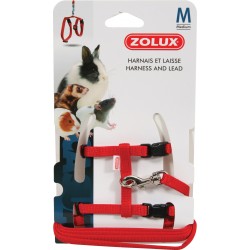 CASUAL M Harnais&laisse...