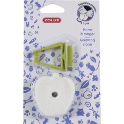 RÉGULATION DENTITION Pierre...