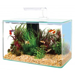 AQUA Clear white 40 17L