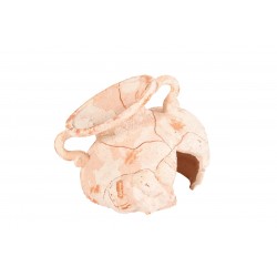 ÉLÉPHANT Col d'amphore...