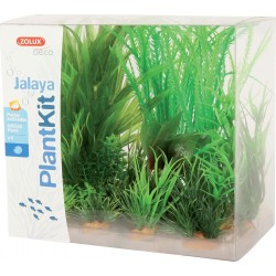 DÉCO Plant kit jalaya...