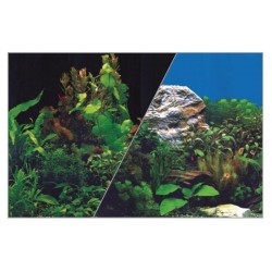 FOND DÉCOR Plantes double...