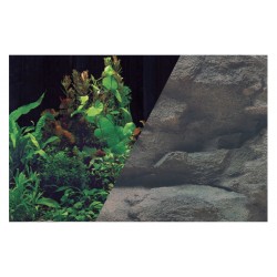 Fond decor pl.noir/roc