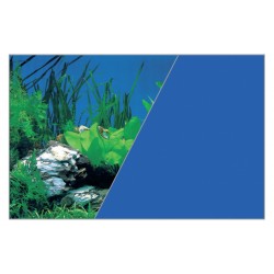 FOND DÉCOR Roche/bleu...