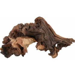 NATURELLE Racine maupani Small