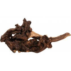 NATURELLE Racine maupani...