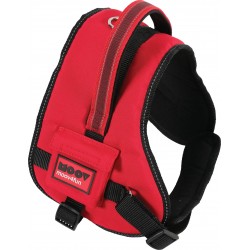 Zolux harnais confort reg...