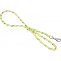 Laisse nylon corde vert anis