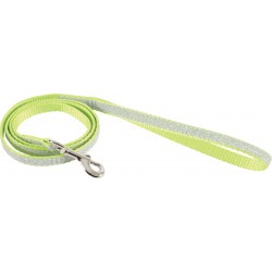 Laisse nylon shiny vert 
