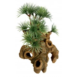 ÎLE Bonsaï nano décor aqua...