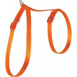 Harnais nylon chat orange