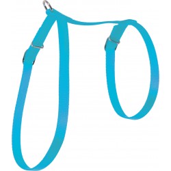 Harnais nylon chat turquoise