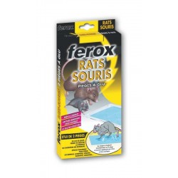 Ferox pieges a glu rats-souris