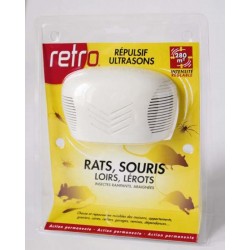 Ultrasons rat-souris
