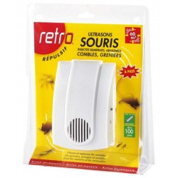 Ultrasons souris
