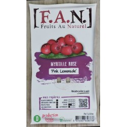 MYRTILLIER 'Pink Lemonade'...