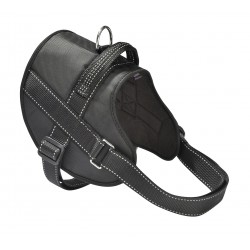 Harnais easy safe s nylon noir