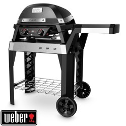 Barbecue Électrique Pulse...