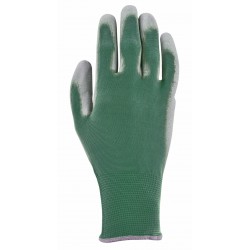 Gant COLORS T7 Vert-BLACKFOX