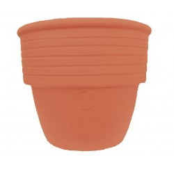 Vase linea clarous...