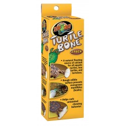 ZOOMED TURTLE BONE Os de...