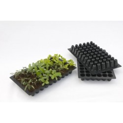 Plaques de culture...