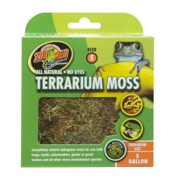 ZOOMED TERRARIUM MOSS...