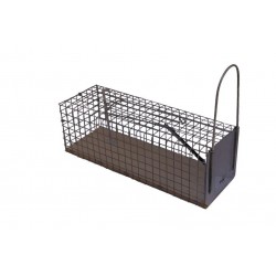 CAUSSADE Nasse à rat X1
