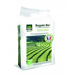 Regain ab hamiform 20l