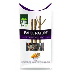 Pause nature bois rongeurs...