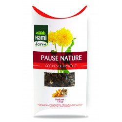 Pause nature pissenlit...