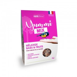 Mélange baies & fruits 750 g