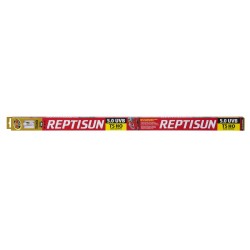 ZOOMED REPTISUN HIGH OUTPUT...