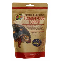 ZOOMED TORTOISE&BOX TURTLE...