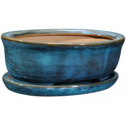 Bac ovale + plateau bonzai...