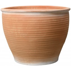 Vase latino tc ø42-h36 rse/blc