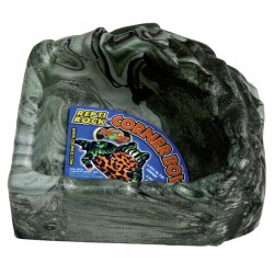 ZOOMED REPTIROCK corner...