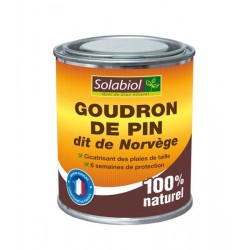 Goudron pin dit norvege 600g