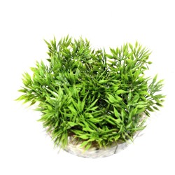 Coupe gazon vert LABEO