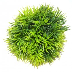 Feuillage pampa vert LABEO