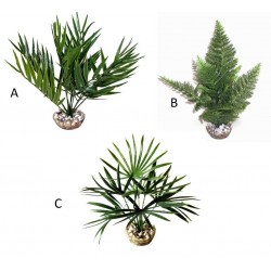 Fougère verte assortiment...