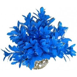 Massif rond coloré bleu LABEO