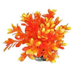 Massif rond coloré orange...