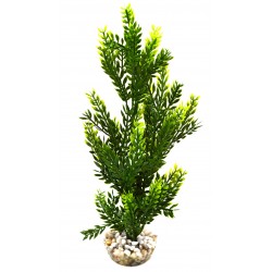 Arbre coloré vert LABEO