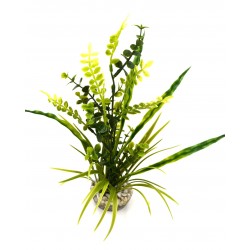 Herbe euca verte LABEO