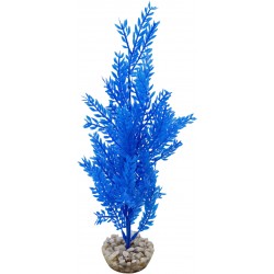 Arbre coloré bleu MM LABEO