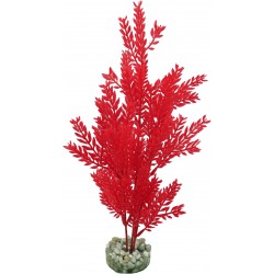 Arbre coloré rouge MM LABEO