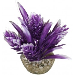 Décor hop violet LABEO