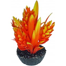 Décor hop orange LABEO