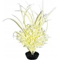 Herbe grass blanc GM LABEO